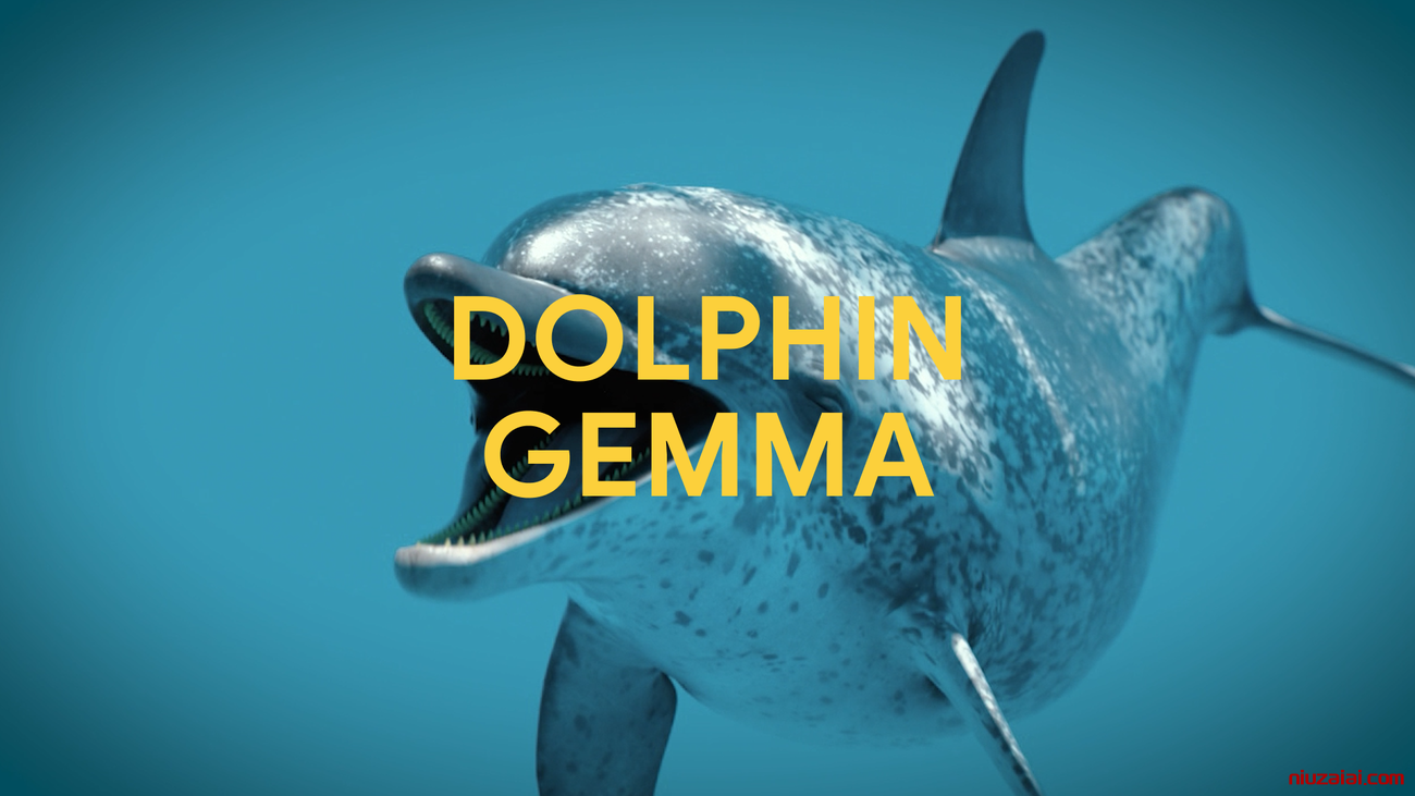 谷歌发布 DolphinGemma：Pixel 手机 AI 开启跨物种交流新纪元-牛仔AI
